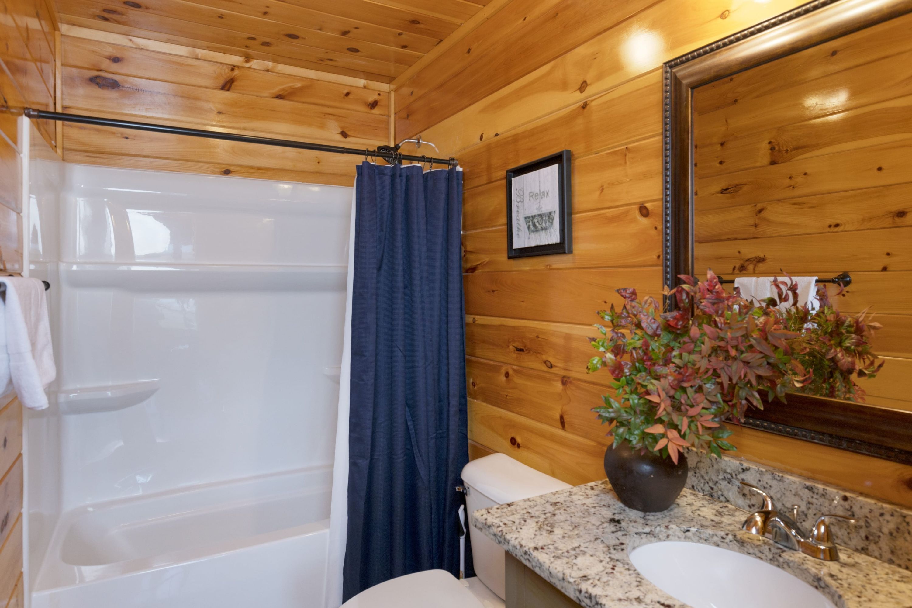 Un baño de cabaña de madera con bañera, cortina de ducha, lavabo, espejo y una planta en maceta.