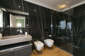 Shower, hair dryer, bidet, towels
