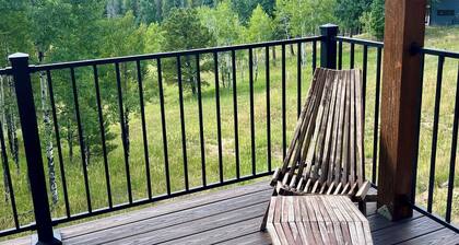 Mountain Barn Retreat in Evergreen