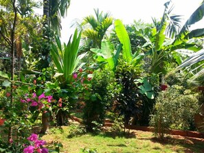 View from property - Namaste Yoga Farm (Kumta)