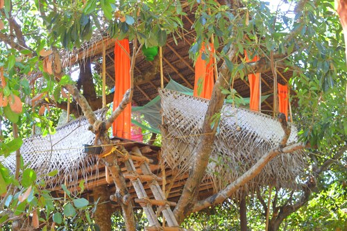 Namaste Yoga Farm