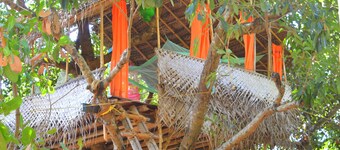 Namaste Yoga Farm
