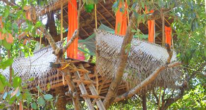 Namaste Yoga Farm