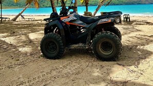 Een quad staat op een zandstrand met palmbomen en uitzicht op de oceaan.