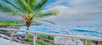 PALM HOUSE LUXURY VILLA - OCEAN FRONT PARADISE