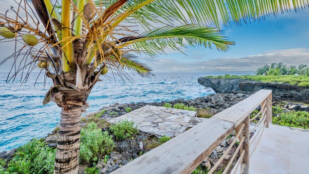 Een houten pad dat naar een rotsachtige kustlijn leidt, met een palmboom en uitzicht op de oceaan.