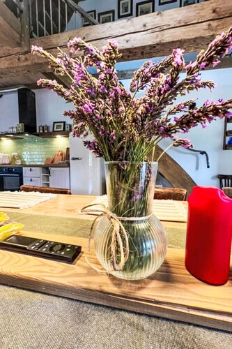 Vidochov by Interhome