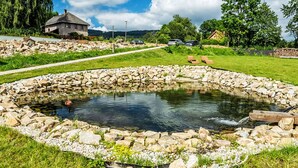 Property grounds - Apartment Lipno by Interhome (Horni Plana)