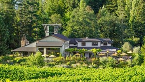 A large, two-story house with a prominent chimney, surrounded by lush greenery and a vineyard. - Villa Terra Bella, by Vinifera Homes (Windsor)