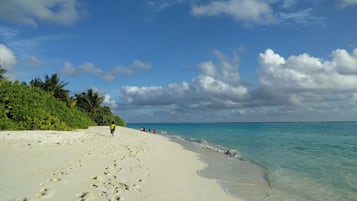 Playa en los alrededores y playa de arena blanca