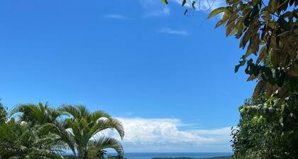 Dulce Familia: Perfect for Lrg Groups - Panoramic Ocean View with Private Pool.