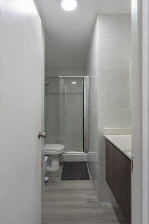 Shower, hair dryer, towels