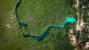 Luchtbeeld van een kustgebied met weelderige groene begroeiing en een slingerende rivier.