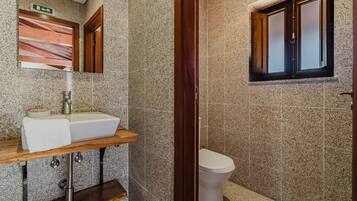 A bathroom with a sink, mirror, and toilet.