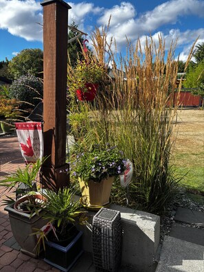 A garden with various plants, a wooden post, and a concrete planter.