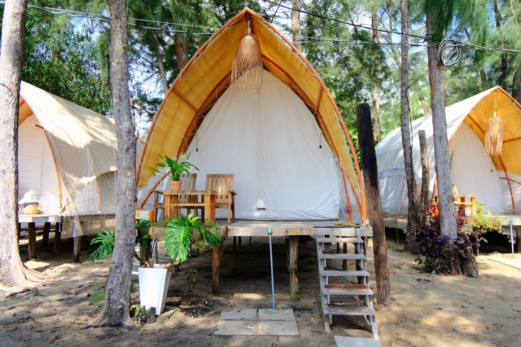 A series of dome-shaped tents with wooden benches and tables, surrounded by trees.