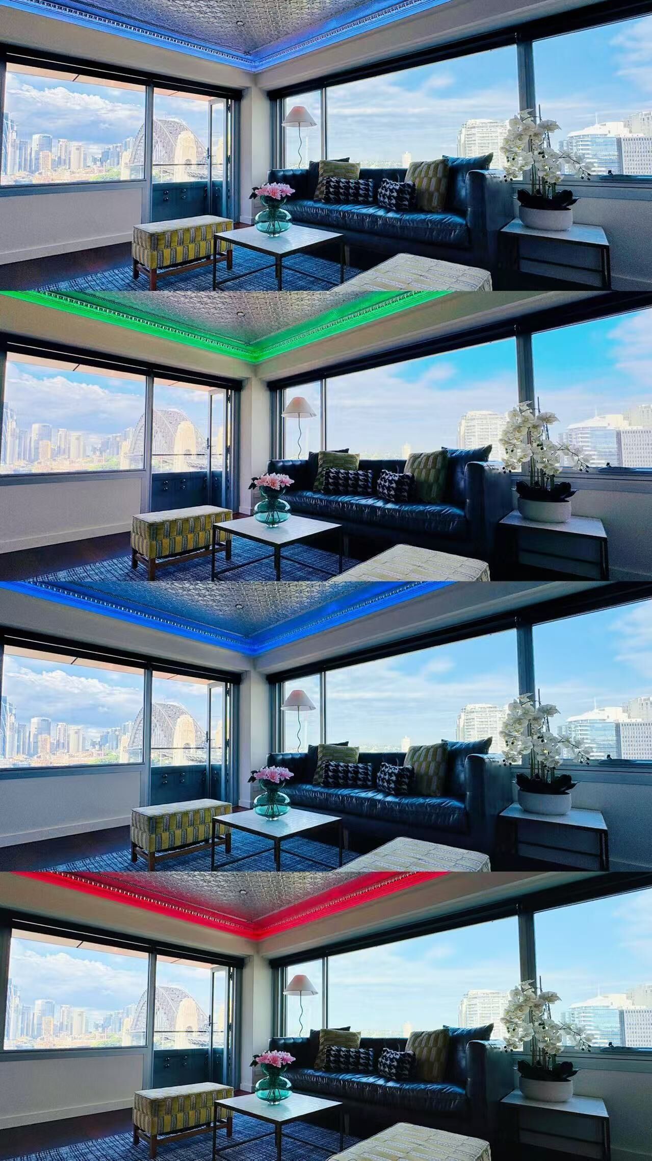 A modern living room with a sofa, coffee table, and potted plants.