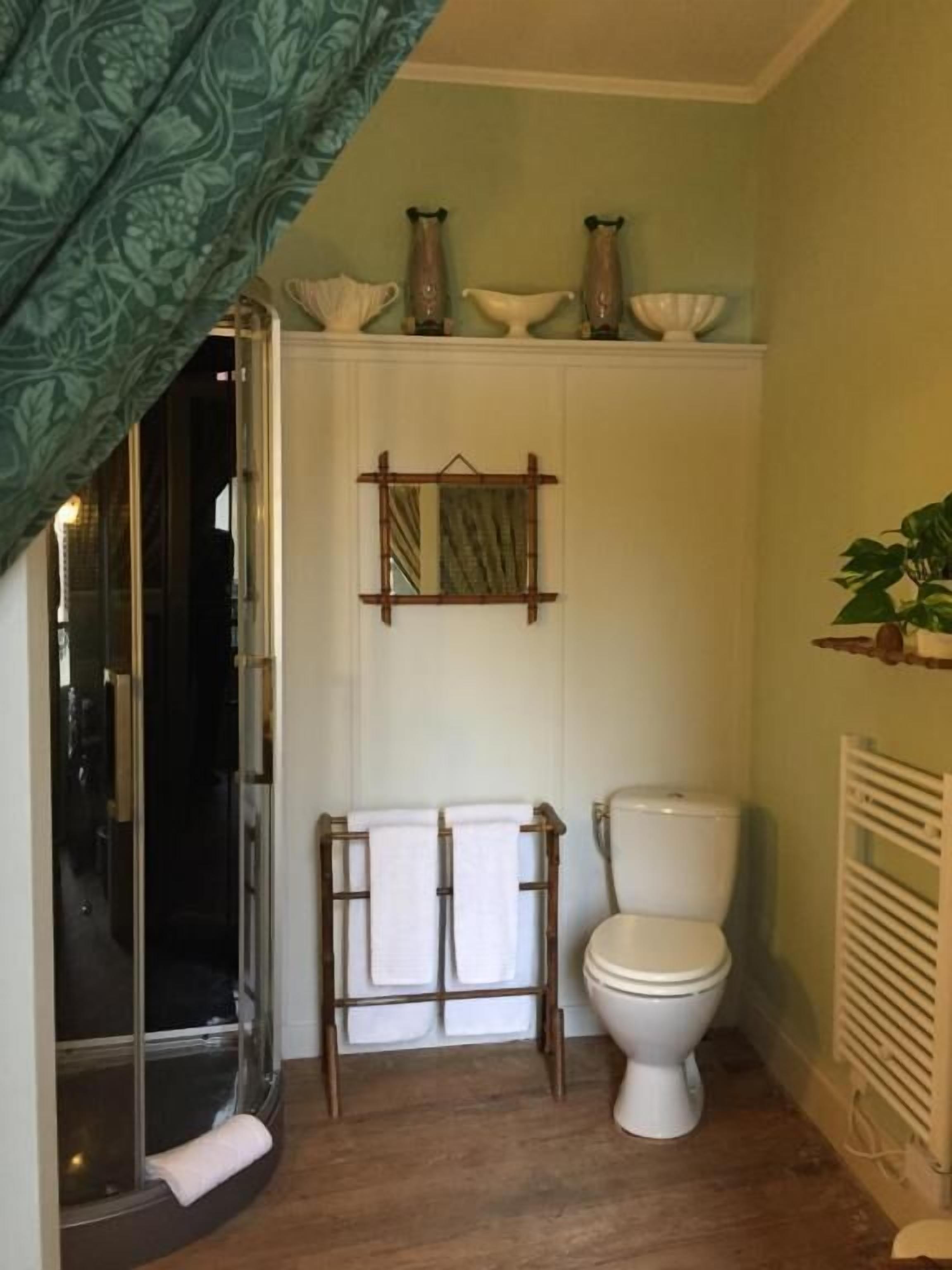Ein Badezimmer mit Dusche, Toilette und Spiegel.