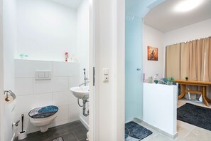 Dusche, Haartrockner, Handtücher