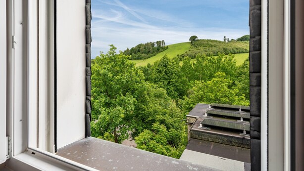 A window view of a lush green landscape with rolling hills and trees. - Holiday Home 'Maag, 102qm' with Private Terrace and Wi-Fi (Attendorn)