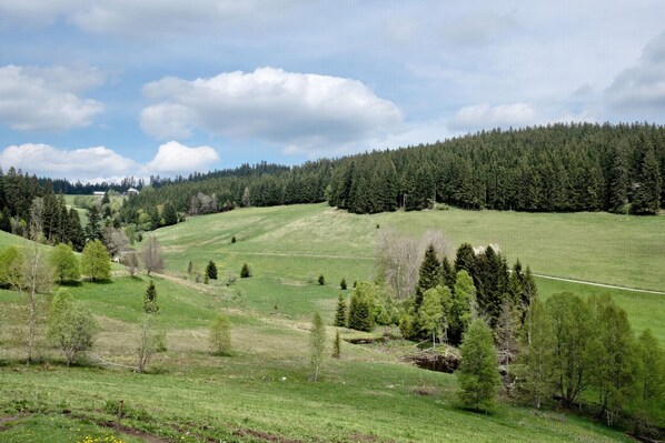 A rural landscape with rolling hills, a dense forest, and scattered trees. - Holiday Apartment 'Rutscherhof' with Mountain View, Private Terrace and Wi-Fi (Breitnau)