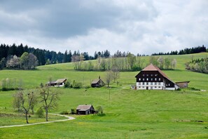 A rural landscape with a large building, smaller houses, and a winding path. - Holiday Apartment 'Rutscherhof' with Mountain View, Private Terrace and Wi-Fi (Breitnau)