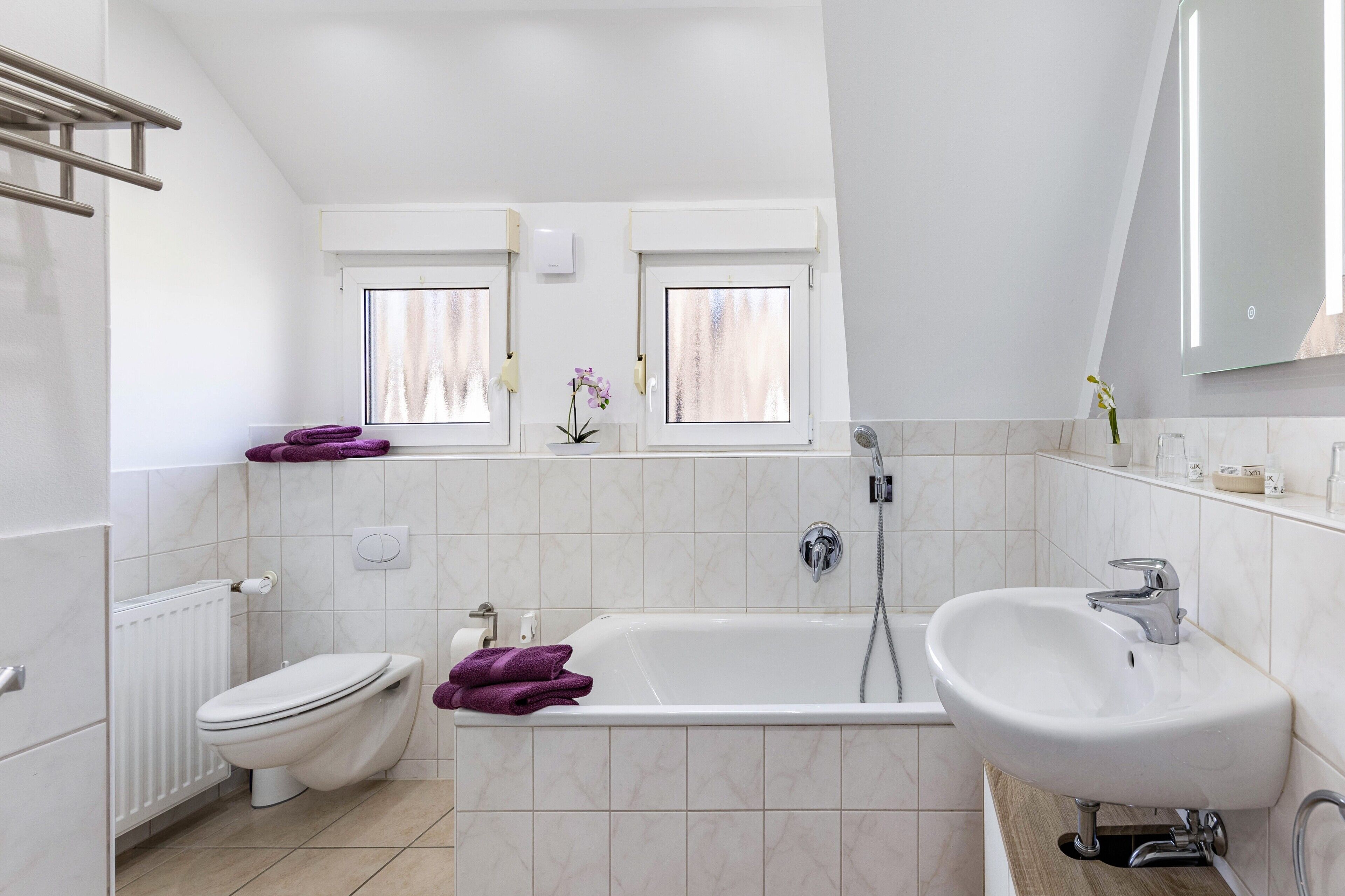 Dusche, Haartrockner, Handtücher