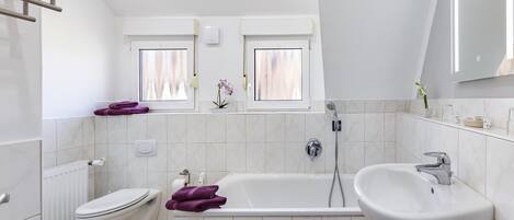 Dusche, Haartrockner, HandtĂŒcher