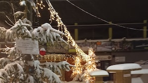Uma árvore de Natal coberta de neve, com luzes e enfeites, um banco de madeira e uma placa com texto.