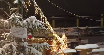 Ferienwohnung 'Walli Og' mit Bergblick, Privatem Garten und Wi-Fi