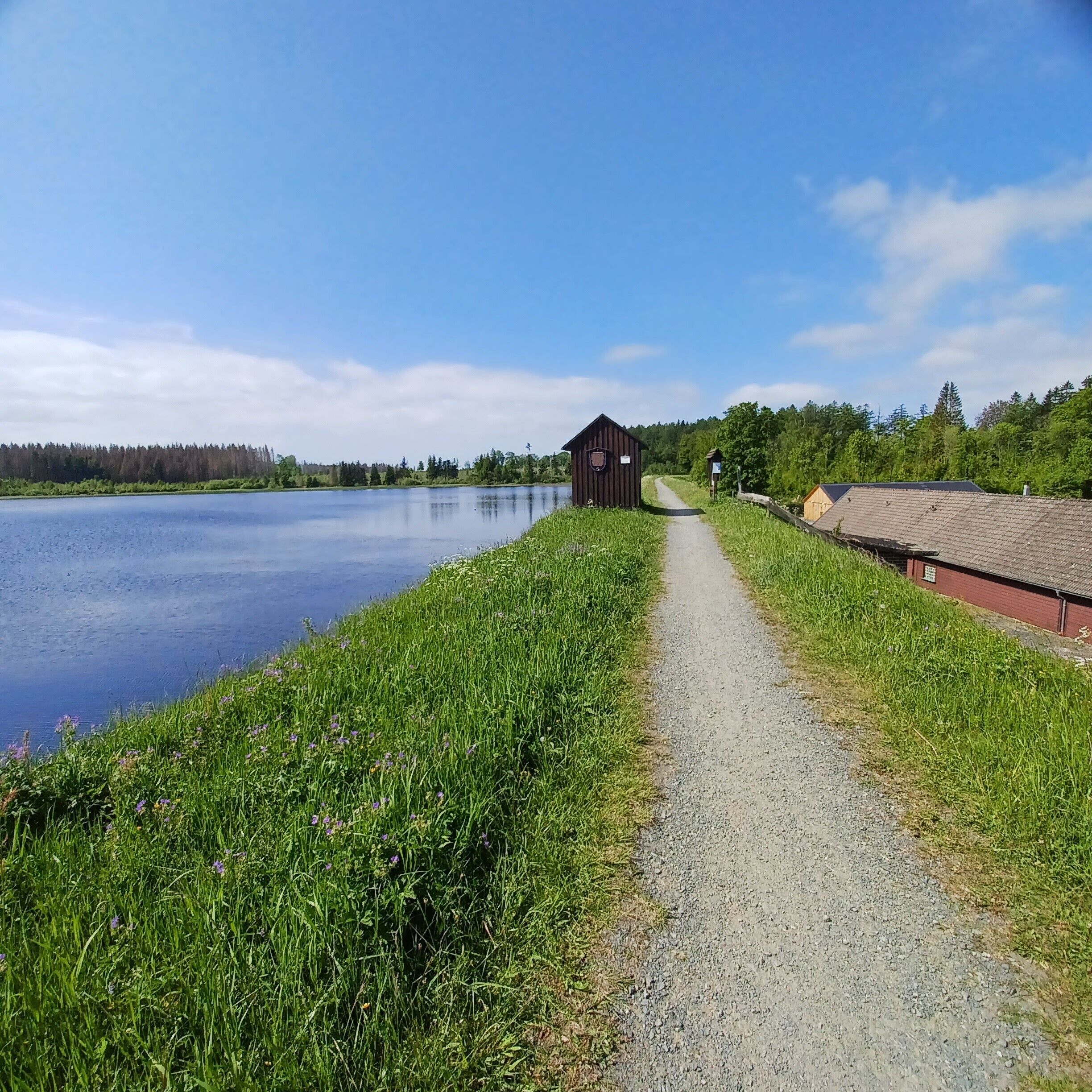 Ein Kiesweg führt zu einer Holzhütte an einem See, umgeben von Grünpflanzen und Bäumen.