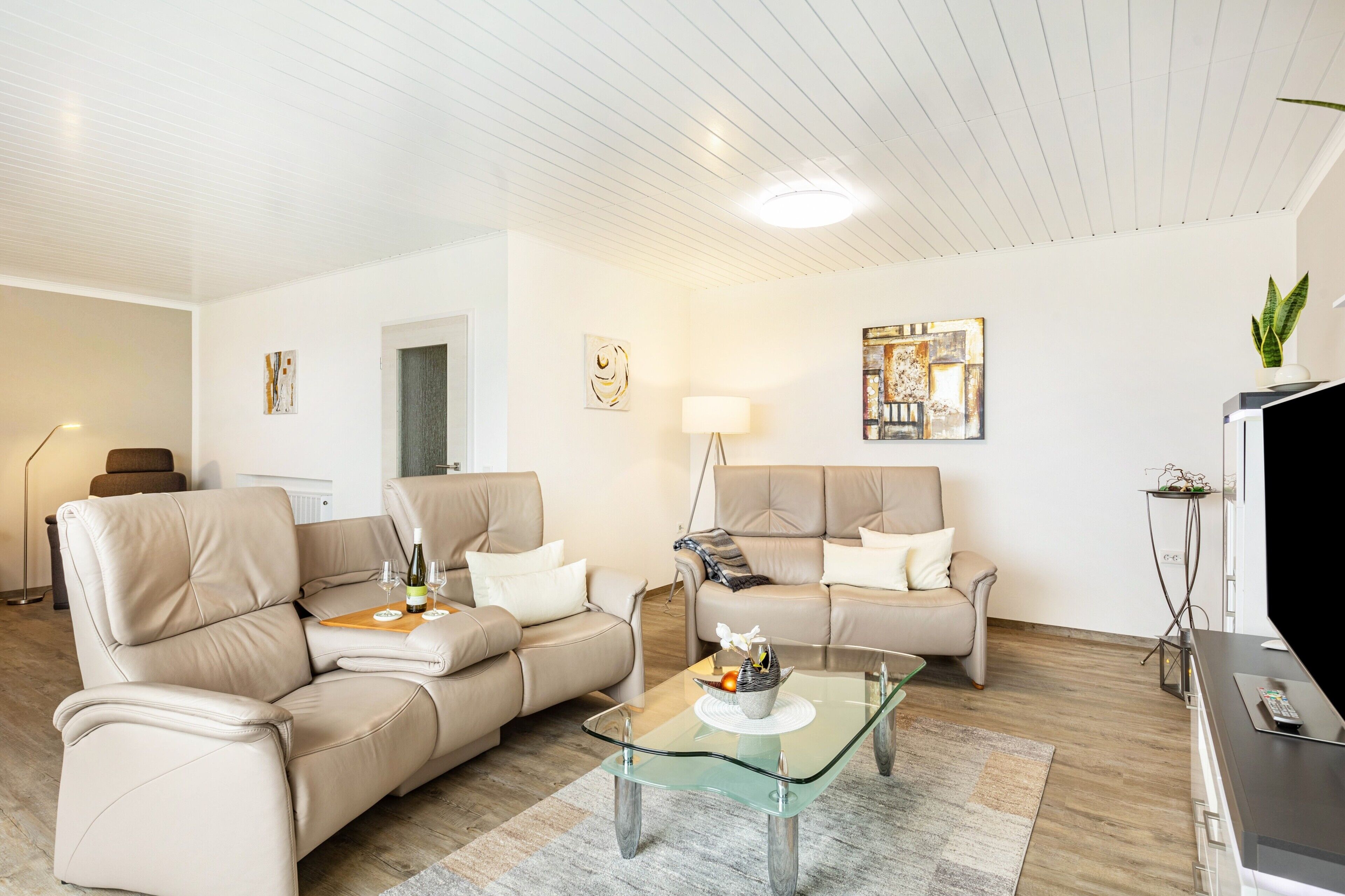 電視、DVD 播放機