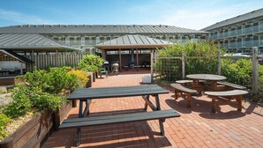 Une cour avec des tables de pique-nique et un espace barbecue, entourée d’une clôture en bois et de verdure.