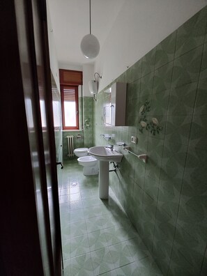Bidet, towels, toilet paper