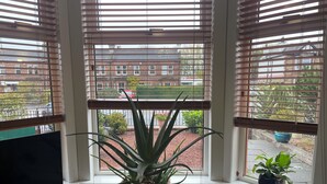 A room with a large window, a potted plant, and a TV on a wooden stand. - Victorian terrace house (Edinburgh)