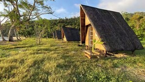 Eine Reihe von reetgedeckten Häusern in einem grasbewachsenen Feld mit Bäumen und blauem Himmel.