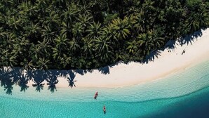 Eine Luftaufnahme eines Strandes mit klarem türkisblauem Wasser, einem sandigen Ufer und üppigen Palmen.