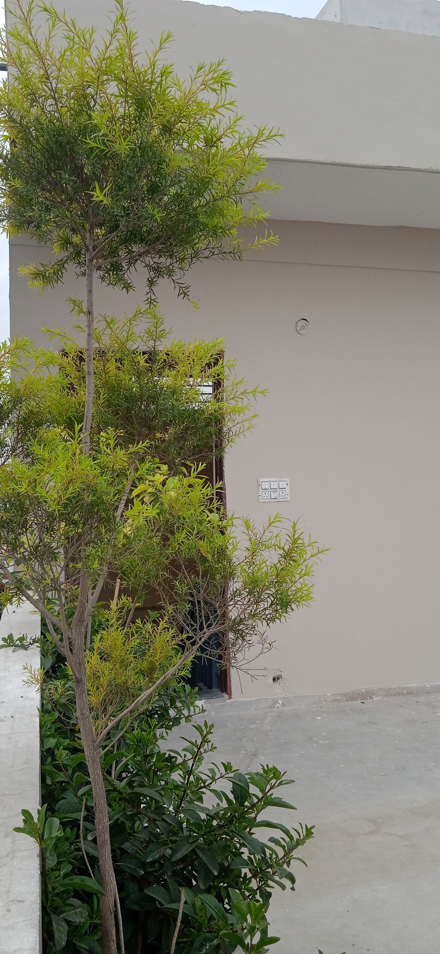 Foto - Yogam Homestay Agra