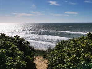 A coastal path leading to the ocean with dense greenery on either side. - 6 Person Holiday Home in Lokken (Lokken)