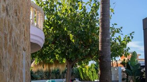 A pathway leading to a pool area with a palm tree and a stone wall.