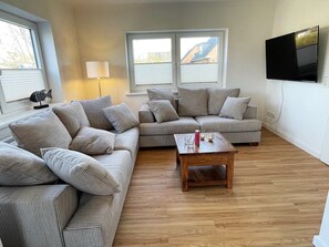 Télévision, cheminée, chaîne hi-fi