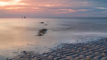 Plage à proximité