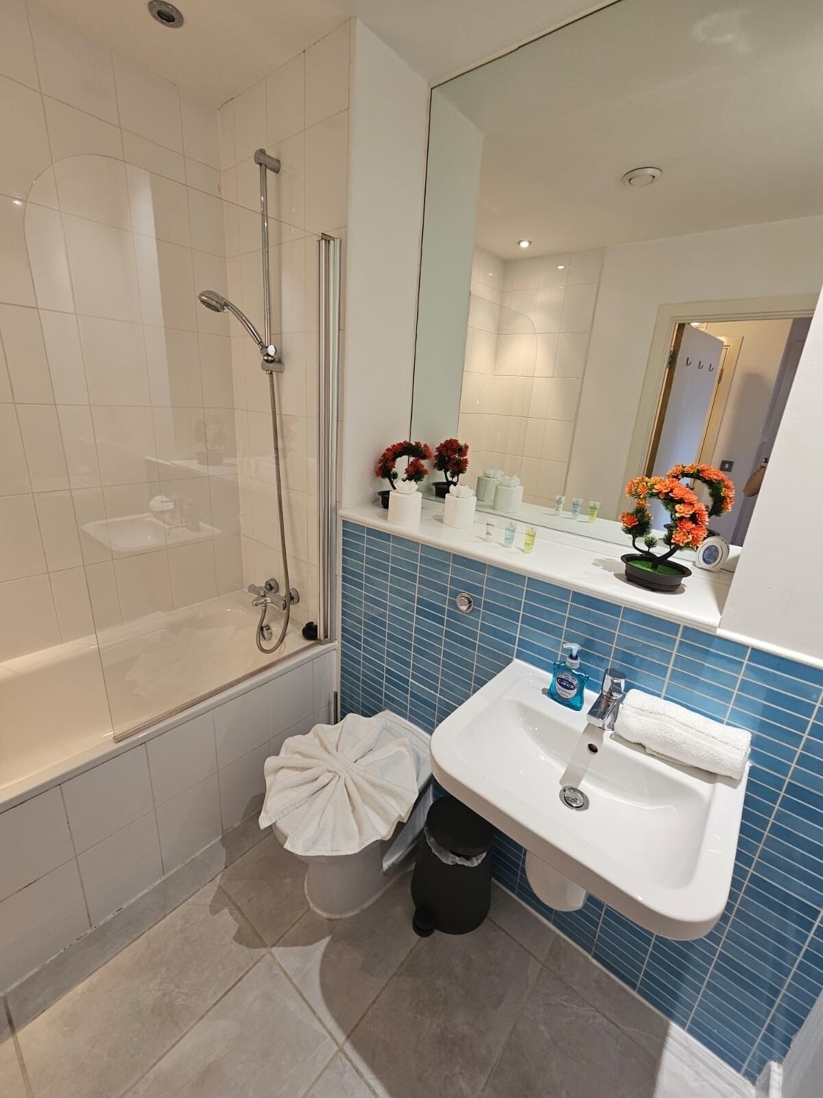 Shower, hair dryer, toilet paper