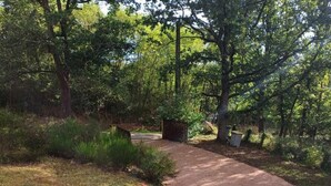 Uma trilha pavimentada serpenteia por uma área arborizada, com uma pequena construção ao longe.
