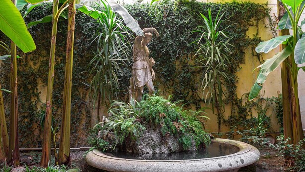 Ein Steinkrug mit einer Statue in der Mitte, umgeben von üppiger Vegetation und einer mit Efeu bewachsenen Mauer.