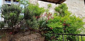 Property grounds - Quiet countryside in the heart of the village (Fontvieille)