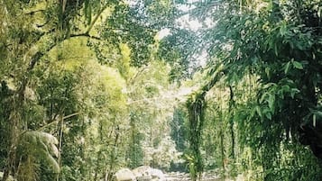 Imagen general