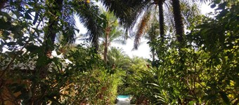 Akî-reski, la grande maison des bolongs