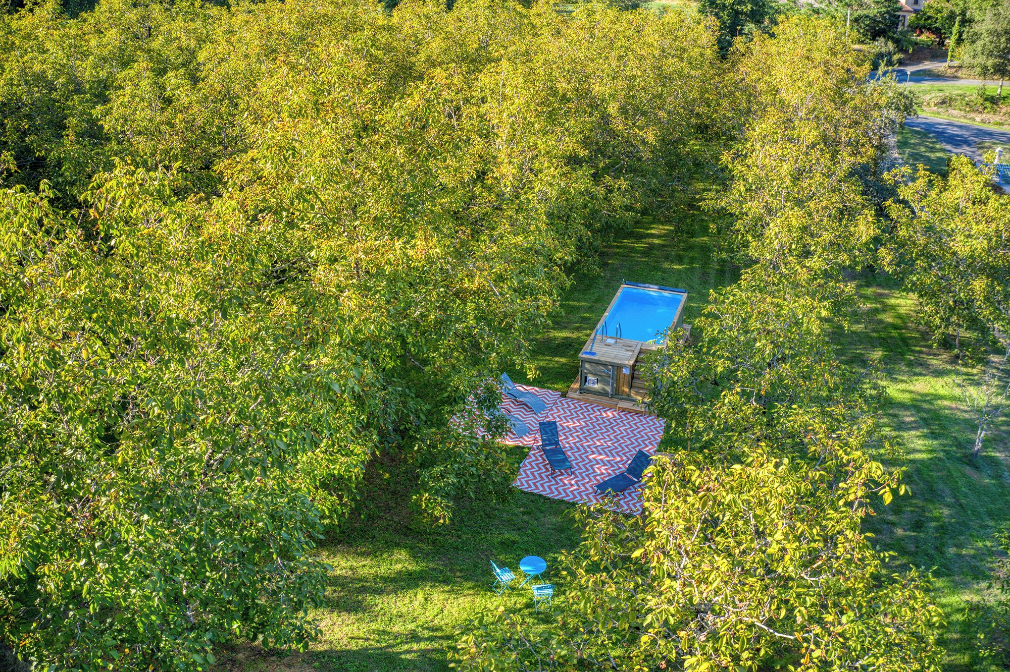 A secluded outdoor seating area with a pool, surrounded by dense foliage.