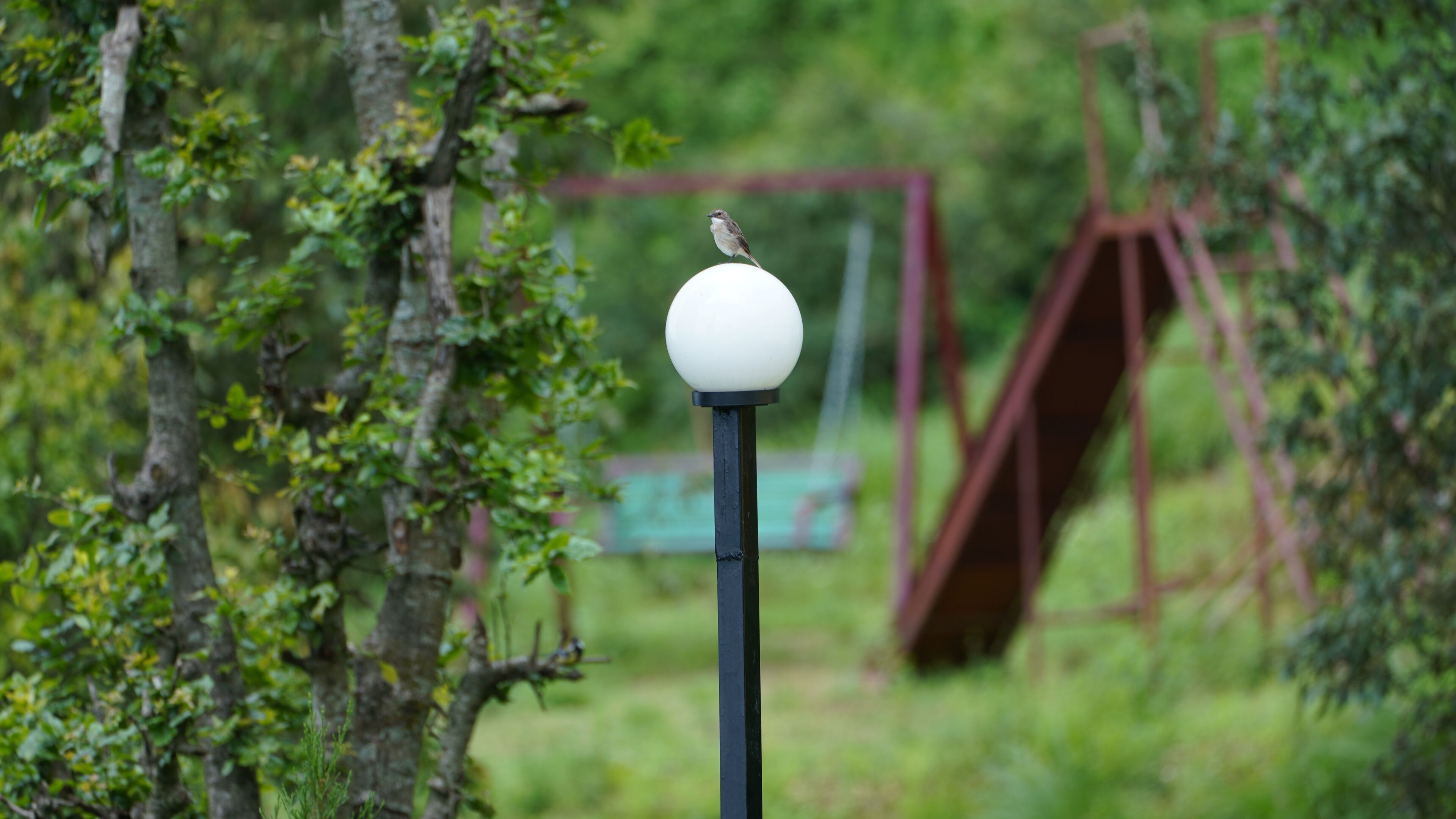 华丽客房, 1 张双人床, 山景 | 客房景观